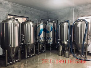 小型啤酒廠釀酒設(shè)備,德國(guó)精釀啤酒設(shè)備,2噸自釀啤酒設(shè)備價(jià)格